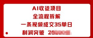 AI收徒项目全流程拆解一条视频成交35单日利润突破1k+-资源云