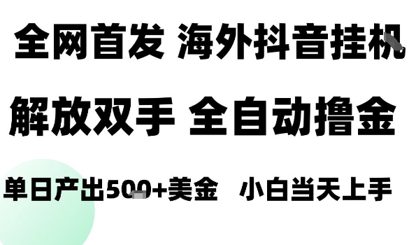 海外抖音无人直播，单日产出1.5k+，长期稳定，新手可玩，无脑操作【揭秘】-资源云