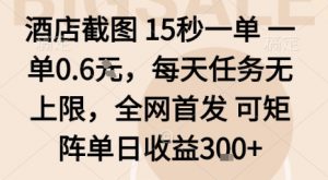 酒店截图15秒一单，一单0.6米，每天任务无上限，全网首发可矩阵单日收益3张【揭秘】-资源云