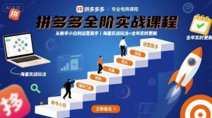 拼多多全阶实战课程，从新手小白到运营高手，海量实战玩法+全年实时更新【2025年9月更新】-资源云