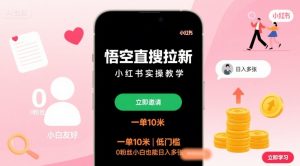 悟空直搜拉新小红书实操教学,一单10米,低门槛,0粉丝小白也能日入多张-资源云