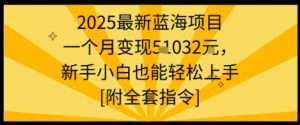 2025最新蓝海项目一个月变现1w+新手小白也能轻松上手【附全套指令】-资源云