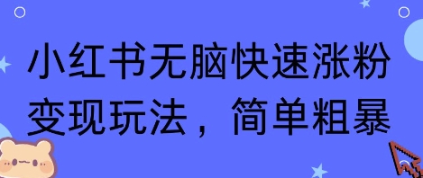 小红书无脑快速涨粉变现玩法，简单粗暴-资源云