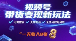 视频号带货变现新玩法，无需露脸，无需粉丝，无任何封号风险，一天收益8张【揭秘】-资源云