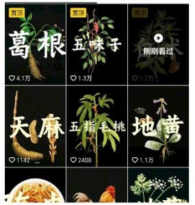 抖音中草药赛道，用AI做中草药故事视频，45条作品涨粉13W，橱窗带货猛猛出单-资源云