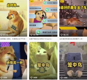 狗头幸运星UE5动画全套课程，从入门到实操全掌握-资源云