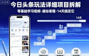今日头条玩法详细项目拆解 零基础学习视频 通俗易懂 14天搞定它-资源云