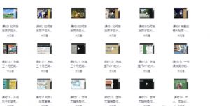 【985逆袭学习方法+提分经验】[4.41GB]-资源云