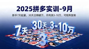 2025拼多多实训-9月 新手7天起量 30天日销破万 月利润3-10万 可矩阵复制 [-资源云