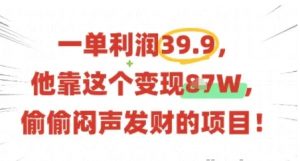 一单利润39.9 有人靠这个变现几十个 偷偷闷声发财的项目-资源云