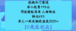 私域冷门赛道:单个收费198米引流模板简单人群精准转化45%单人一天大概收益是1k+-资源云