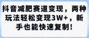 抖音减肥赛道变现,两种玩法轻松变现3W+,新手也能快速复制-资源云