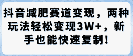 抖音减肥赛道变现，两种玩法轻松变现3W+，新手也能快速复制-资源云