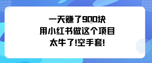 一天挣了9张用小红书做这个项目太牛了，空手套-资源云