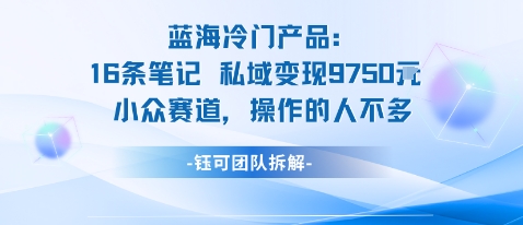 蓝海项目：16条笔记私域变现9750米小众赛道操作的人不多-资源云