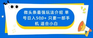 微头条最强玩法介绍一个号日入5张+只要一部手机适合小白-资源云