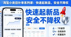 淘宝小类目补单系列课,快速起新品,安全不降权-资源云