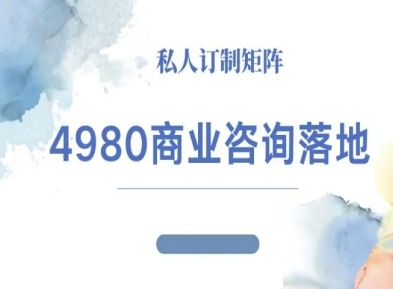 4980商业咨询师落地课程-ip运营高客单教程-资源云