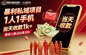 暴利私域项目1人1手机,当天收款1k+,需求人群占比高,当天就能见到钱-资源云