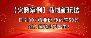 【实测案例】私域新玩法,日引30+精准粉,转化率50%,新人照做也能出单!-资源云