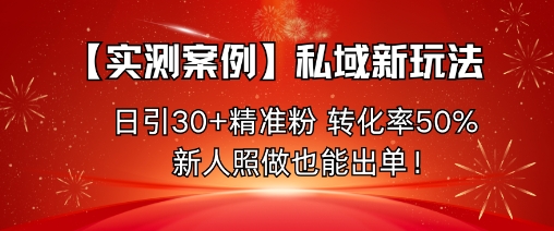 【实测案例】私域新玩法，日引30+精准粉，转化率50%，新人照做也能出单！-资源云