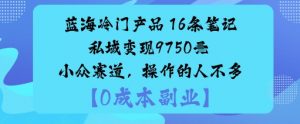 蓝海冷门产品：16条笔记私域变现9750米小众赛道，操作的人不多-资源云