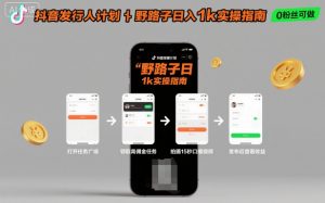 抖音发行人计划全新野路子玩法，随时随地，只要有手机，就能操作，日入1k+【揭秘】-资源云