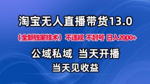 淘宝无人直播13.0,公域私域技术,不封号,不违规布局下半年旺季赛道,日入1K+(独家技术)【揭秘】-资源云