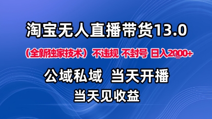 淘宝无人直播13.0，公域私域技术，不封号，不违规布局下半年旺季赛道，日入1K+（独家技术）【揭秘】-资源云