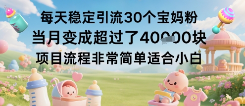 每天稳定引流30个宝妈粉当月变成超过了1W+项目流程非常简单适合小白-资源云