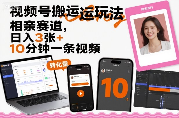 视频号搬运玩法，相亲赛道，日入3张+，10分钟一条视频-资源云