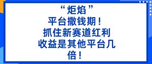 “炬焰”:平台撒钱期!抓住新赛道红利,5分钟二创内容,收益是其他平台几倍!-资源云
