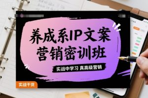 养成系IP文案营销密训班,实战中学习真高级营销-资源云