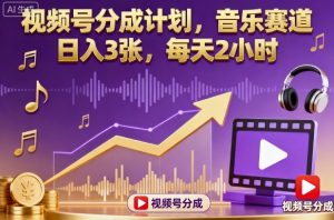 视频号分成计划,音乐赛道,日入3张,每天2小时-资源云