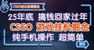 25年底搞钱回家过年,CSGO游戏挂G掘金,纯手机操作超简单【揭秘】-资源云