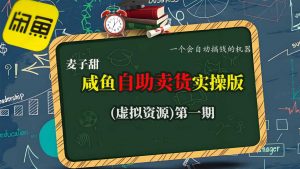 麦子甜咸鱼自助卖货实操版(虚拟资源)一个会自动搞钱的机器-资源云