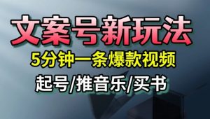 文案号新玩法,5分钟一条爆款视频,流量高,起号快,多方位变现-资源云