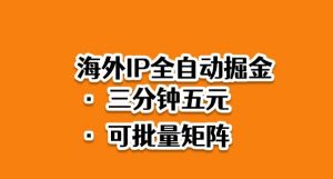 海外ip全自动掘金,2025必做蓝海项目,3分钟落地,矩阵直接开干【揭秘】-资源云