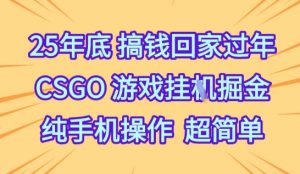 25年底搞钱回家过年,CSGO游戏挂G掘金,纯手机操作超简单【揭秘】-资源云