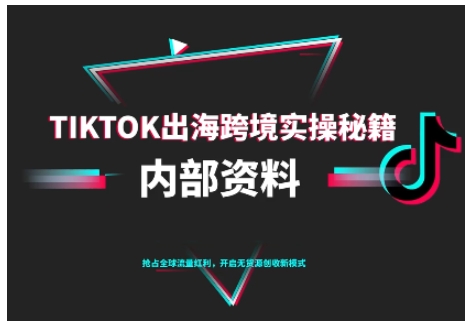 TikTok跨境电商0-1搭建运营，TK出海跨境实操秘籍（10月更新）-资源云