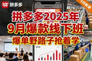 拼多多2025年9月爆款线下班,爆单野路子抢着学-资源云