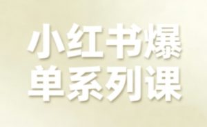 小红书爆单系列课,聚焦小红书电商全链路增长-资源云