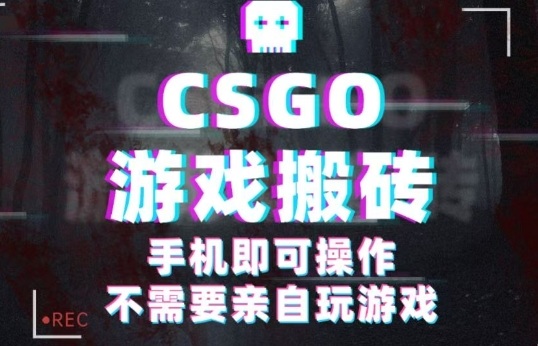 CSGO游戏挂G捡漏，单日扫货5张+，年底小高峰上车可吃肉，手机即可操作，兼职副业创业网创【揭秘】-资源云