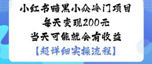 小红书暗黑小众冷门项目每天变现2张当天可能就会有收益-资源云