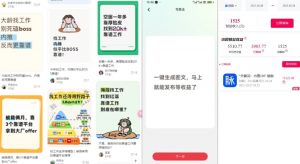 毕业生求职项目拆解_脉脉拉新空白市场,蓝海开局-资源云