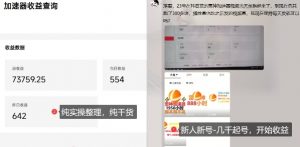 游戏加速器项目4.0_最新打法思路(爱玩游戏也能边玩边被动收益)-资源云