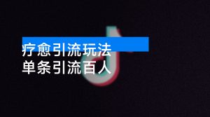 疗愈引流玩法,单条引流百人,保姆级全流程 短视频-资源云