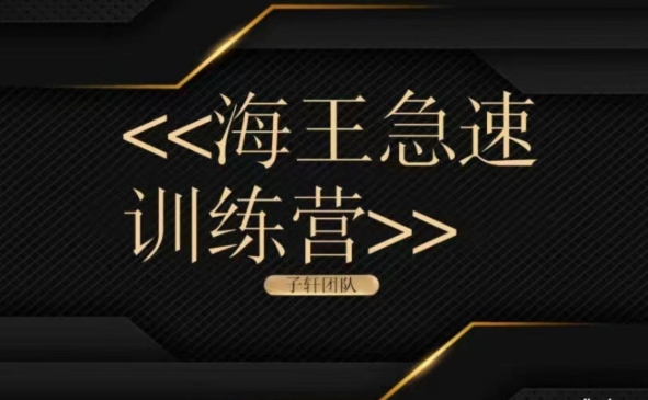 子轩团队《海王急速训练营》-资源云