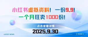 小红书虚拟资料!一份9.9!一个月狂卖1000份-资源云