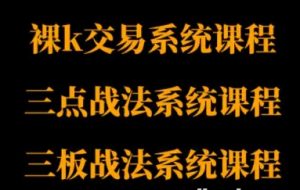 半山猎人三套系统课程(裸K体系、三点体系、三板体系)-资源云